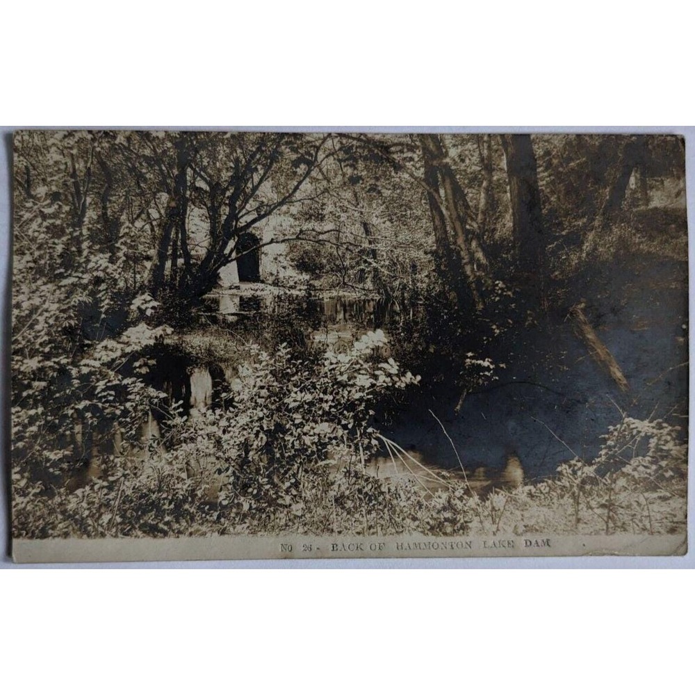 Hammonton, NJ: RPPC Back of Hammonton Lake Dam - VTG‎ New Jersey Photo Postcard